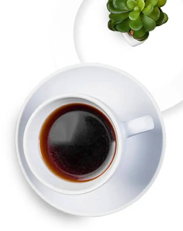 Contacto profesional en Marketing Digital Madrid