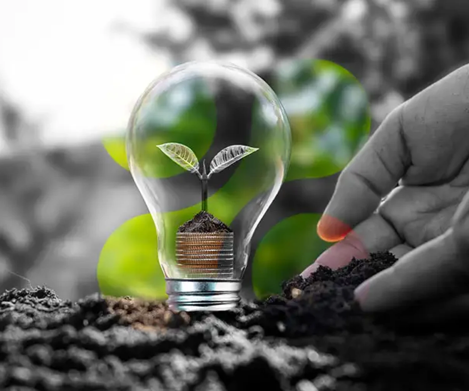 El auge del marketing sostenible y cómo las marcas pueden ser socialmente responsables