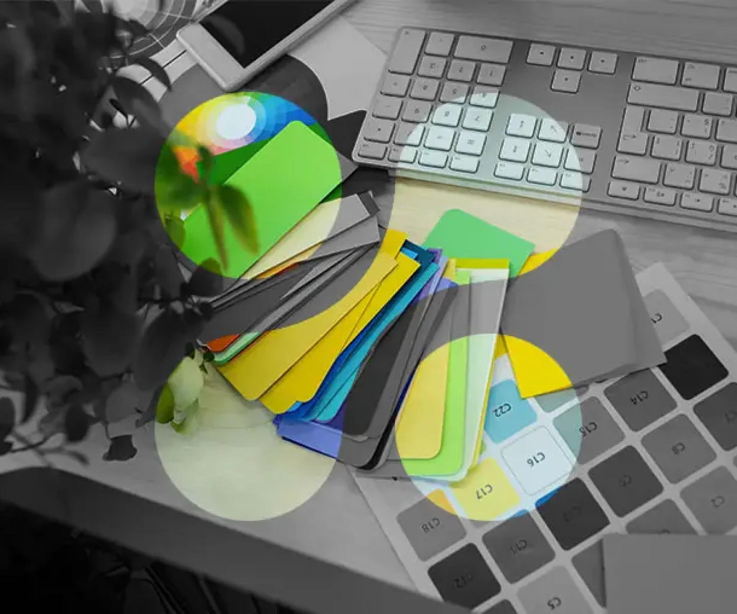 Cómo Elegir los Colores para tu Marca y lo que Dicen sobre tu Negocio